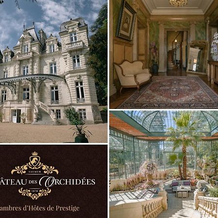 Chateau Des Orchidees En Val De Loire Saumur Eksteriør bilde