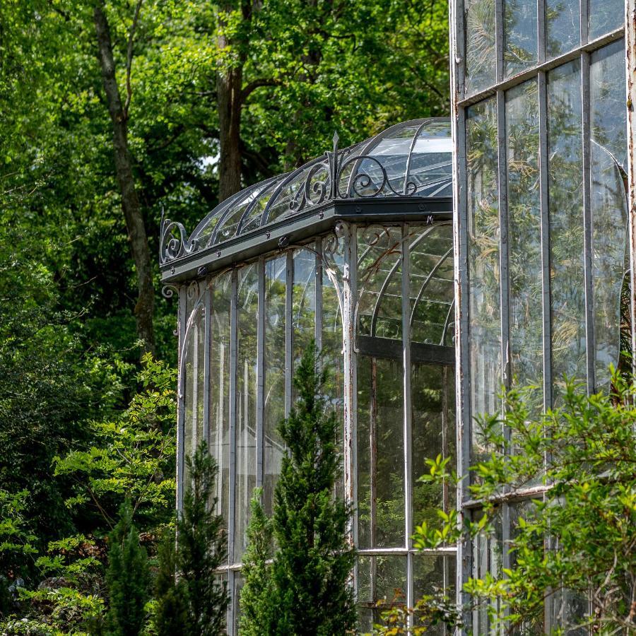 Chateau Des Orchidees En Val De Loire Saumur Eksteriør bilde
