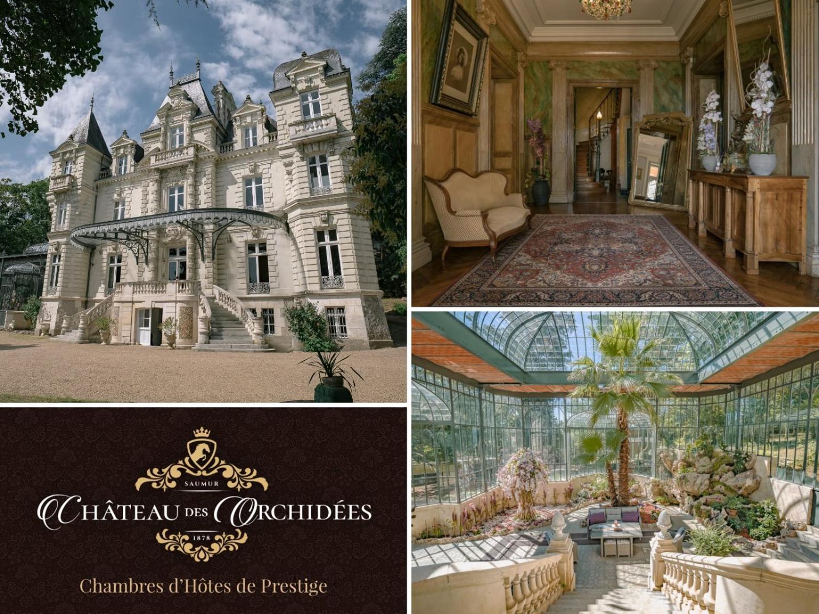 Chateau Des Orchidees En Val De Loire Saumur Eksteriør bilde